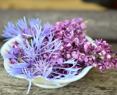 Аранжировка цветов и сухоцветов