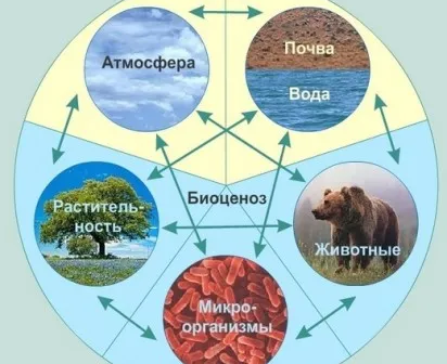 Биология для детей 10-15 лет