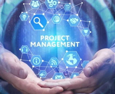 Онлайн-курс «Project Management»