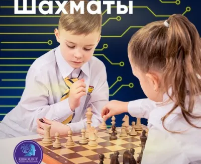 Шахматы