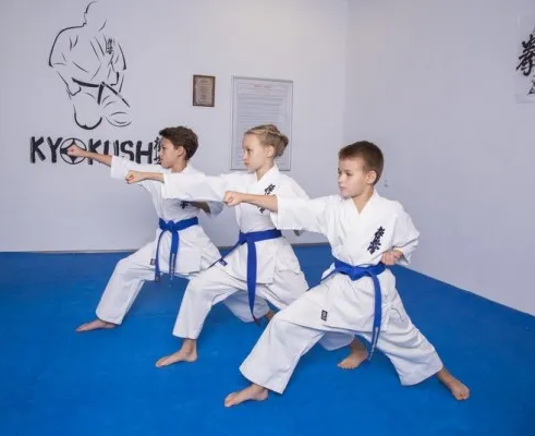 Карате киокушинкай