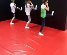 Кикбоксинг