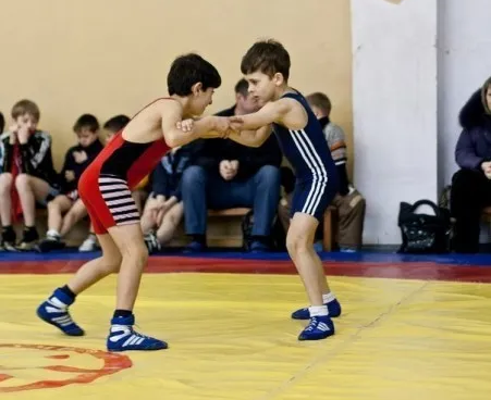 Вольная борьба