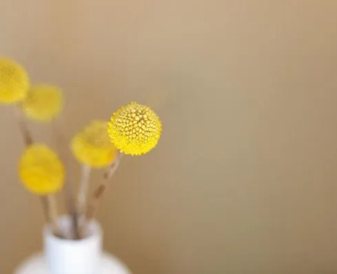 Цветочная фантазия