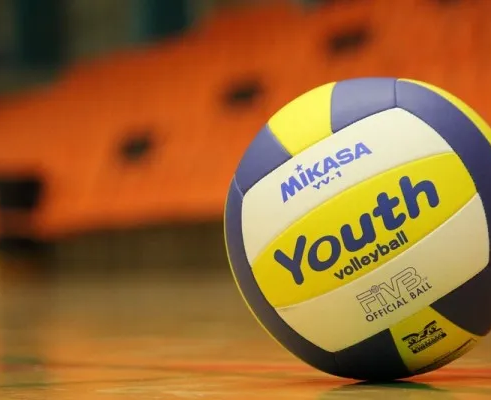 Волейбол (на ул. Петрова)