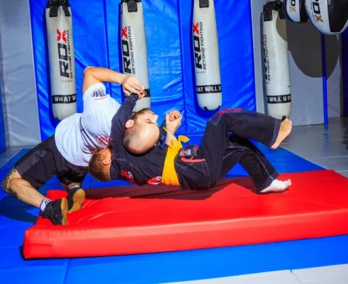 ММА, бокс, грэпплинг, BJJ, тайский бокс