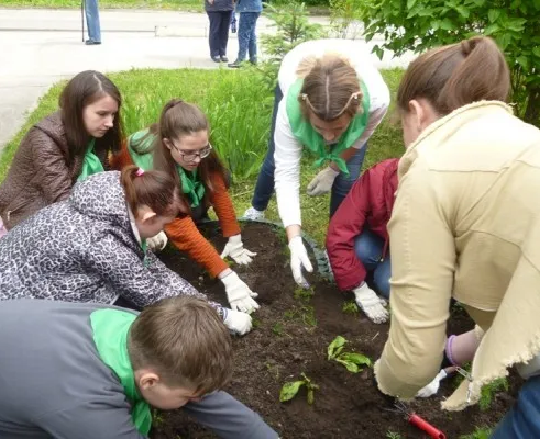 Радуга (экология)