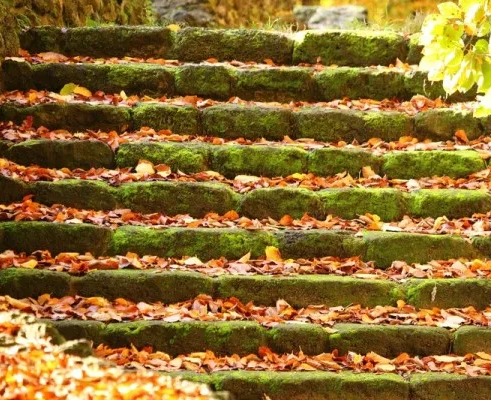 Территория успеха без границ