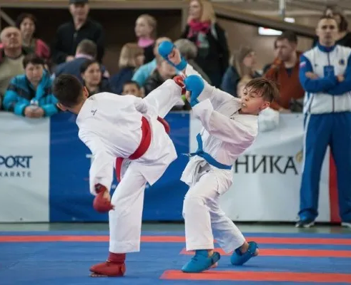 Школа олимпийского карате WKF
