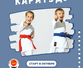 Подготовительная группа каратэдо