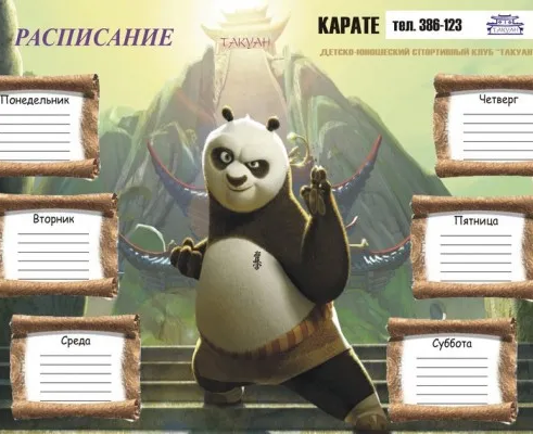 Карате кекусинкай