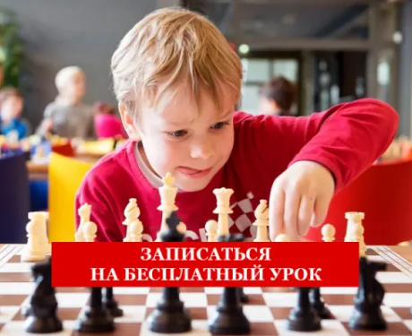Шахматы