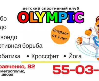 Секции акробатики и единоборств
