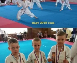 Шотокан каратэ и кобудо