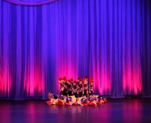 Ведущий творческий коллектив "PALITRAPROFIDANCE"