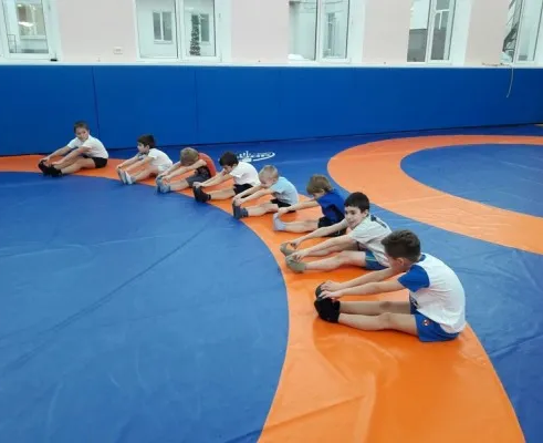 Вольная борьба