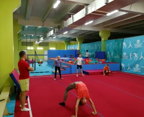 Академия гимнастики