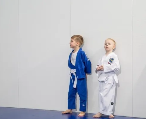 Секция ОФП, самбо и джиу-джитсу (на ул. Филёвской)