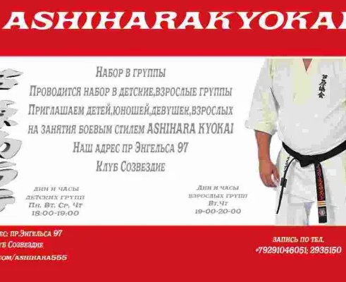 Ashihara karate