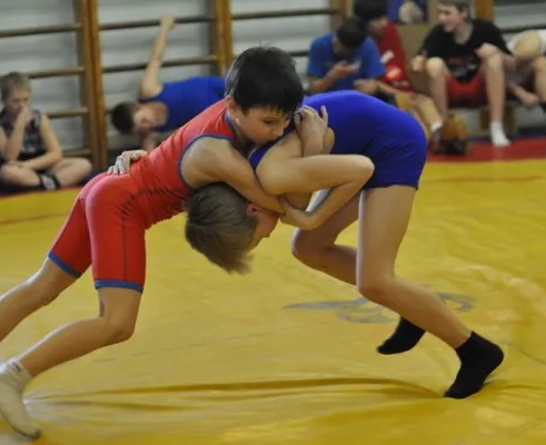 Вольная борьба