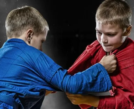 Рукопашный бой