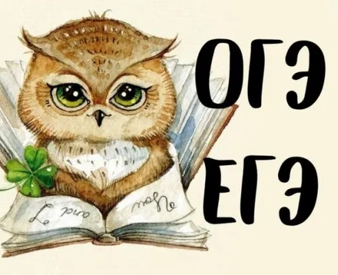 Подготовка к ЕГЭ, ОГЭ