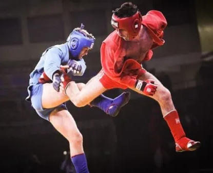 Боевое самбо