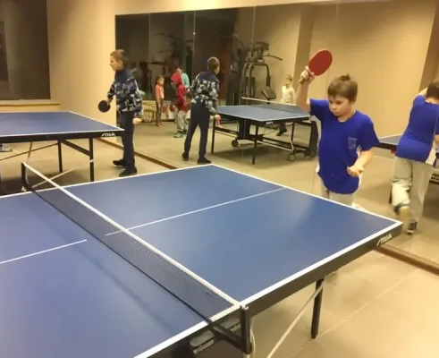 Настольный теннис