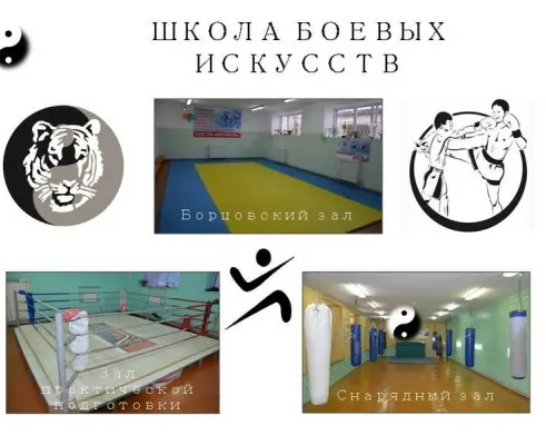 Школа боевых искусств «Файтайгер»