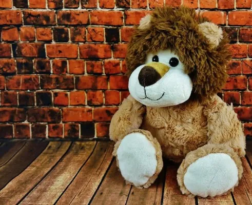 Полезная игрушка (ДПИ)