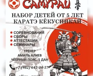 Каратэ Кекусинкай «Самурай»
