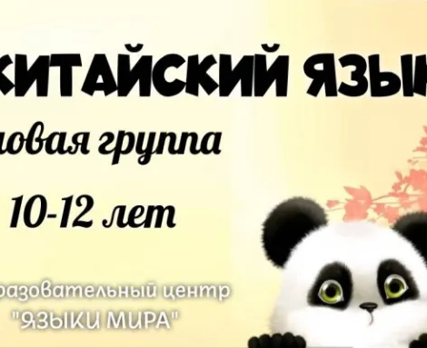 Китайский язык