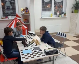 Шахматы