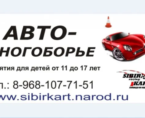 Автомногоборье