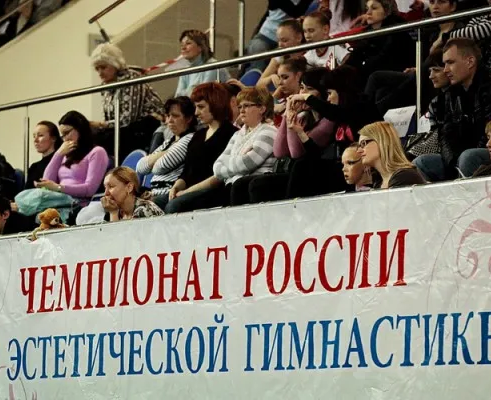 Спортивная эстетическая гимнастика