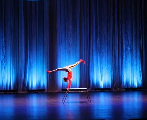 ЦИРКОВАЯ СТУДИЯ «АРЕНА»