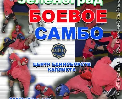 Боевое самбо