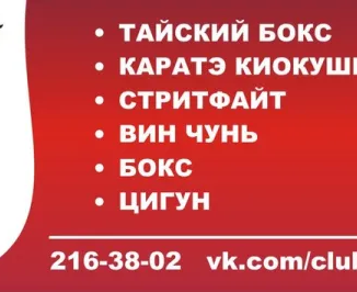 Карате-киокушинкай, тайский бокс, вин чунь