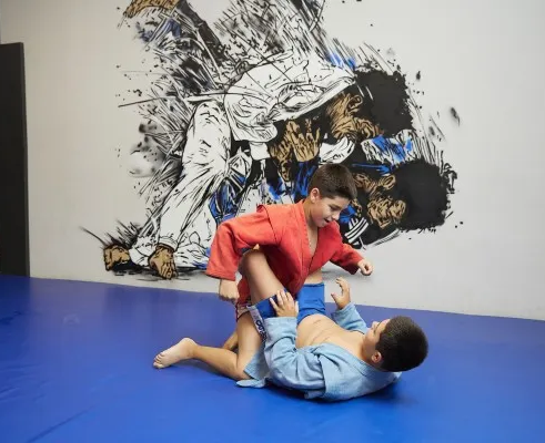 Занятия по спортивному и боевому самбо