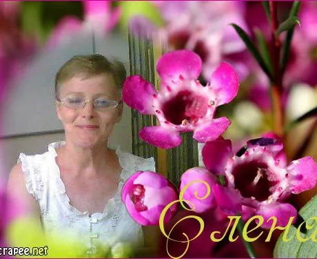 Подготовка к ОГЭ