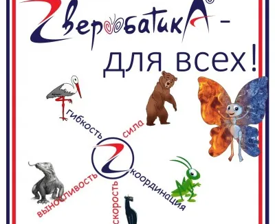 Спортивная гимнастика, акробатика, тренировки