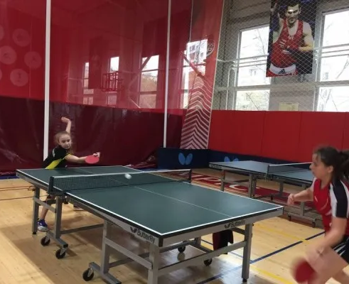 Настольный теннис