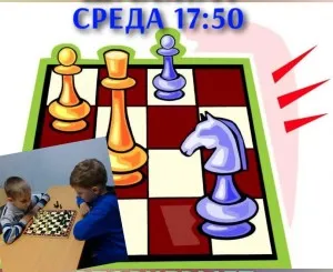 Шахматы