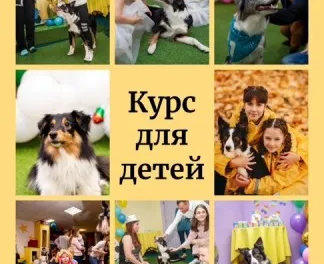 Курс "Юный дрессировщик собак"