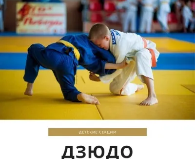 Дзюдо