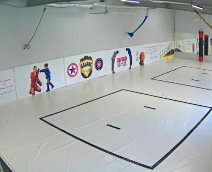 Секция самбо в Зеленограде и Андреевке