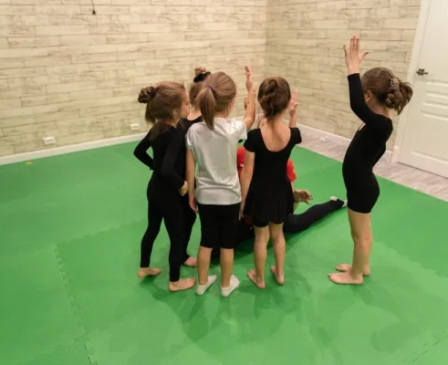 Предметная подготовка по художественной гимнастике