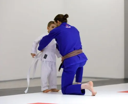 Джиу-джитсу