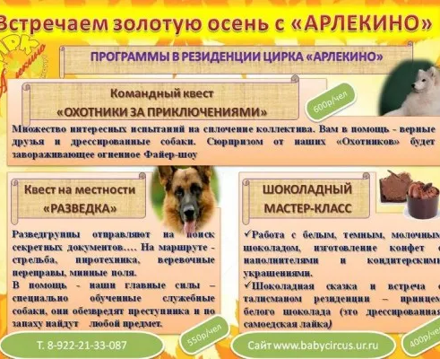 Празднование дня рождения
