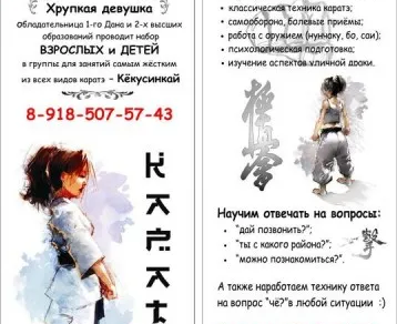 Спортивный клуб карате «Путь чемпиона» (на ул. Фурмановская)